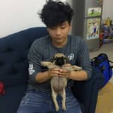 Khoa Pug logo