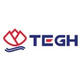 Thai Eastern Group Holdings PCL logo