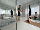 Dancing in the Moonlight Pilates Pole Aerial & Yoga Studio logo