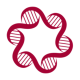 Identity Dermatology Center logo