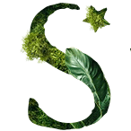 Namu logo