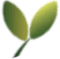 Treehouse Thailand logo