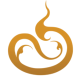Zira Spa logo